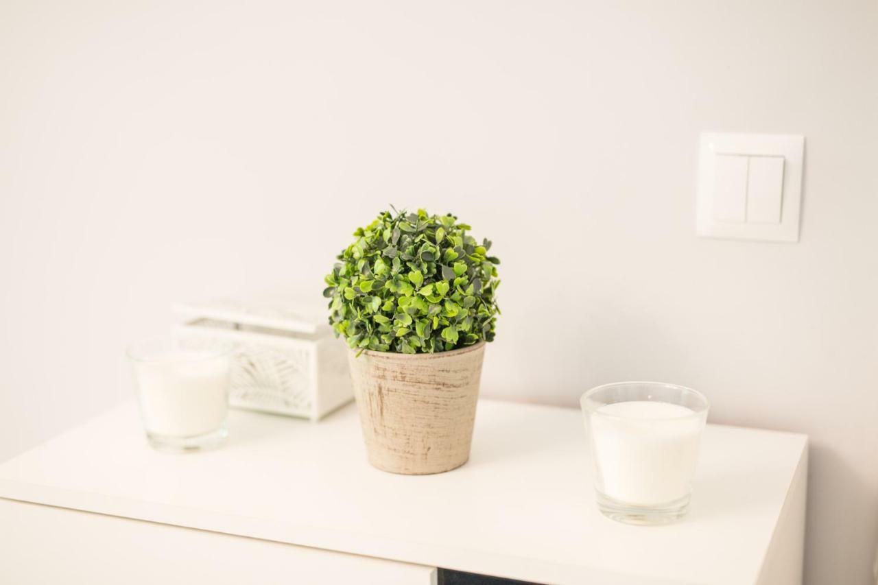 Apartament Ujasia 斯武普斯克 外观 照片